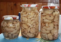 Фото к рецепту: Маслята маринованные на зиму