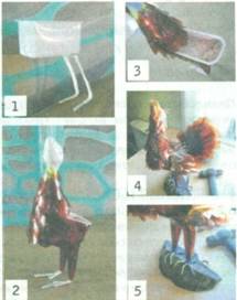 фото
