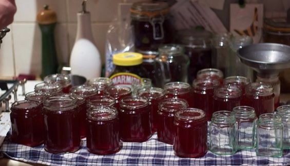 Желатиновое варенье с ревенем