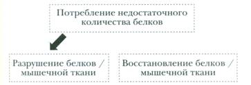 Рисунок