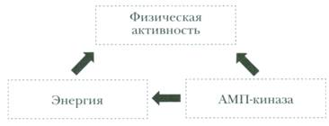 Рисунок