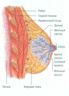 Дифлюкан может лечить молочницу