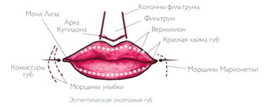 Рисунок
