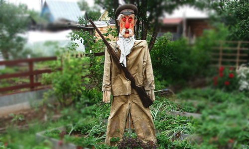 сонник сторож