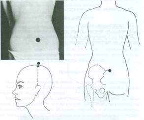 Точечный массаж при боли внизу живота