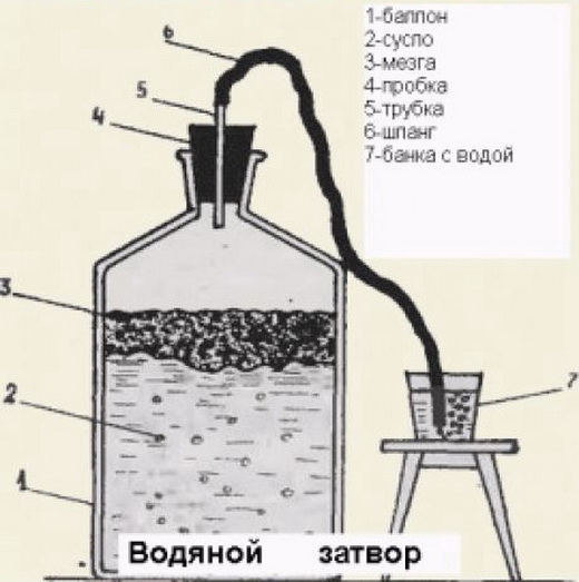 Строение гидрозатвора для брожения вина