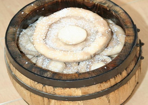 Засолка грибов холодным способом рецепт